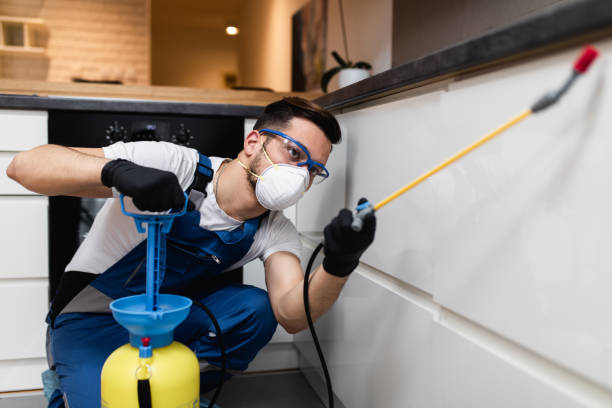 Best Local Pest Control Services  in Hapeville, GA
