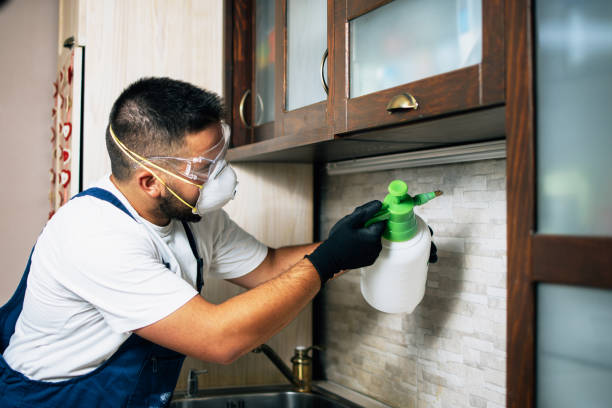 Best Insect Control  in Hapeville, GA