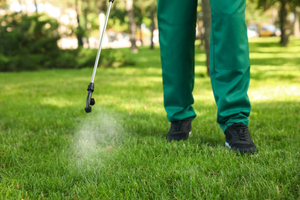 Best Local Pest Control Services  in Hapeville, GA