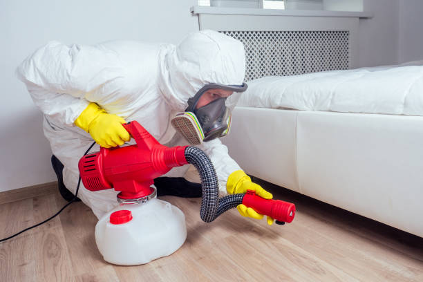 Best Wasp Removal Services  in Hapeville, GA