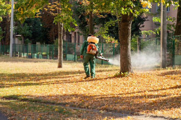 Best Pest Control Near Me  in Hapeville, GA