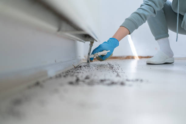 Best Pest Control Treatment  in Hapeville, GA