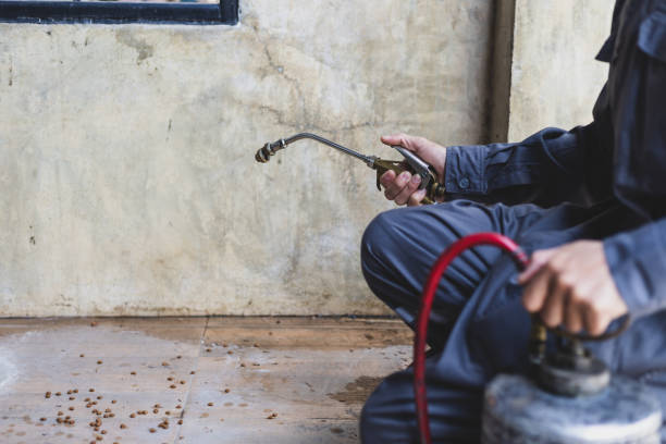 Best Pest Inspection Near Me  in Hapeville, GA